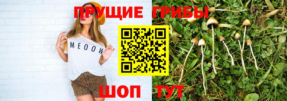Галлюциногенные грибы Cubensis  закладки  Строитель  Псилоцибиновые грибы Cubensis  Вход с VPN 